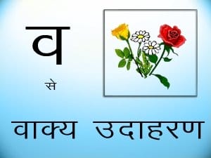 vakya udaaharan - vakya - Learn Hindi Grammar